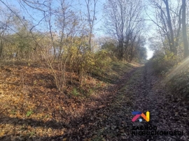 Dom z działką o pow. 6200 m2 w Dąbrowie